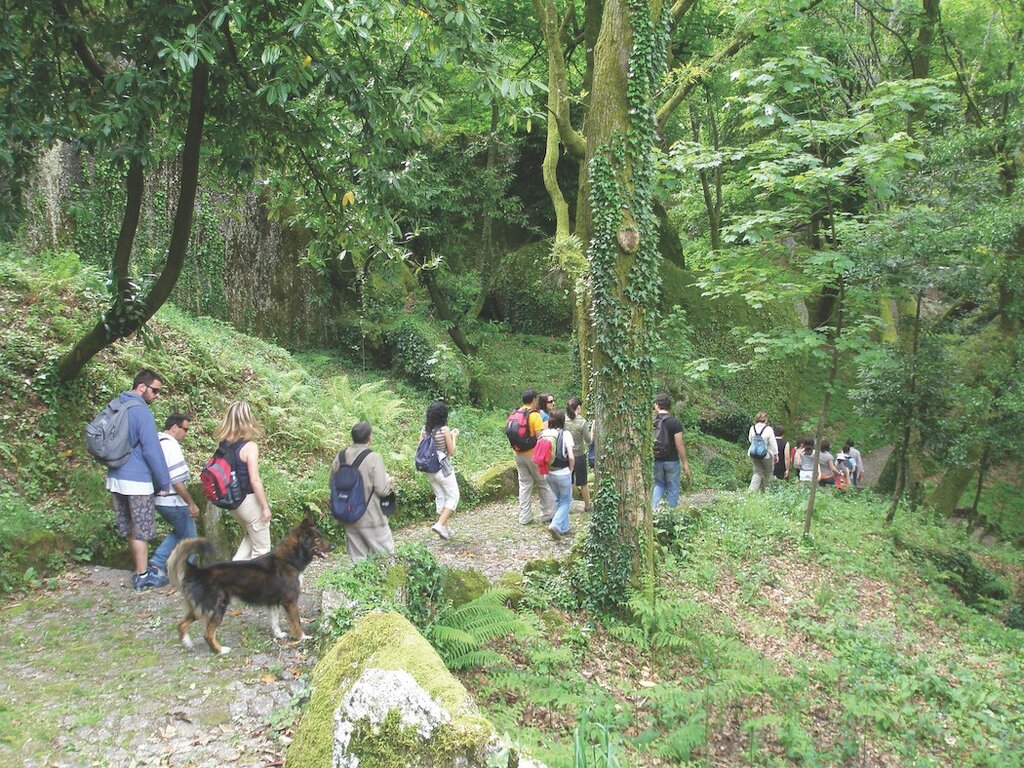 Guimarães evidencia sinais de recuperação da atividade turística
