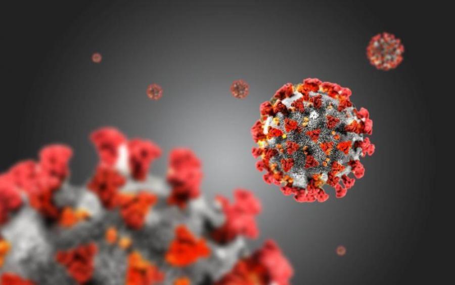 CESSAÇÃO DE VIGÊNCIA DE DECRETOS-LEIS PUBLICADOS NO ÂMBITO DA PANDEMIA DA DOENÇA COVID-19