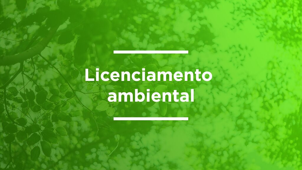 REFORMA E SIMPLIFICAÇÃO DOS LICENCIAMENTOS AMBIENTAIS