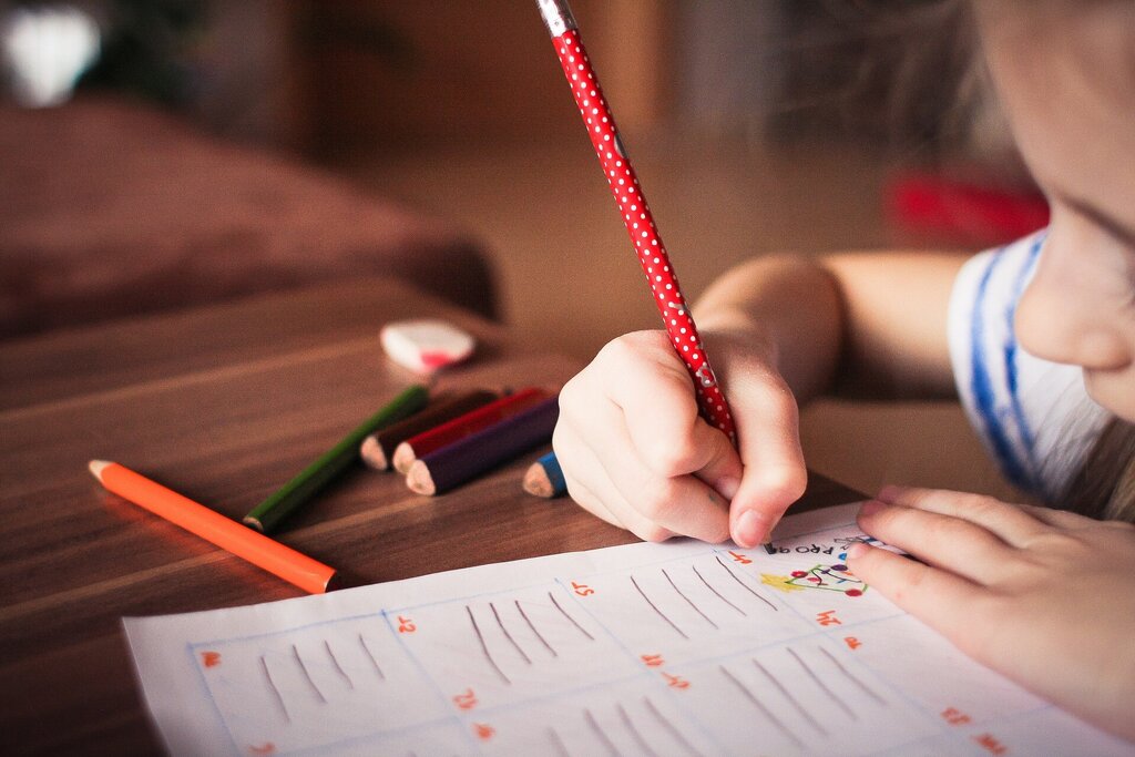 TRANSFERÊNCIA DE COMPETÊNCIAS - EDUCAÇÃO