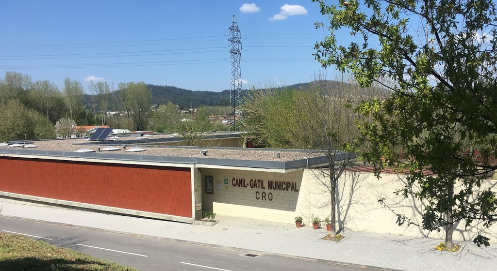 Centro de Recolha Oficial de Guimarães Abre Portas para o Dia do Animal