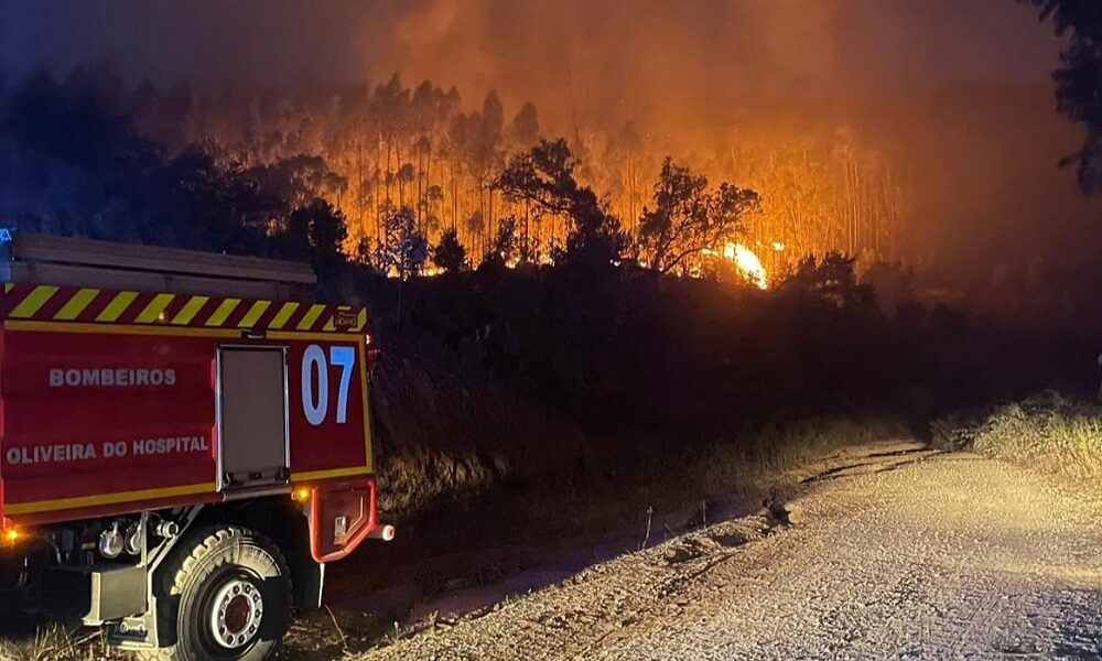 DIRETIVA INTEGRADA DE VIGILÂNCIA E DETEÇÃO DE INCÊNDIOS RURAIS 2024