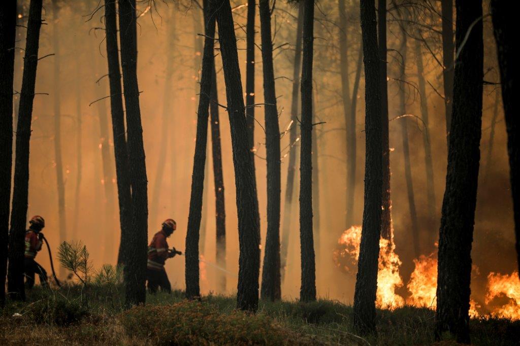 FUNDO DE EMERGÊNCIA MUNICIPAL - INCÊNDIOS