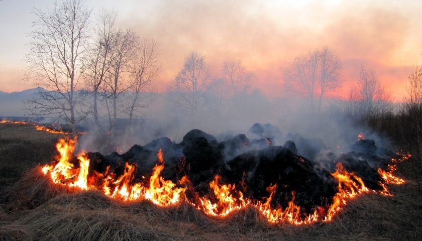 APOIO ÀS ATIVIDADES FLORESTAIS E APICULTORES AFETADAS PELOS INCÊNDIOS -15 A 19 DE SETEMBRO 2024