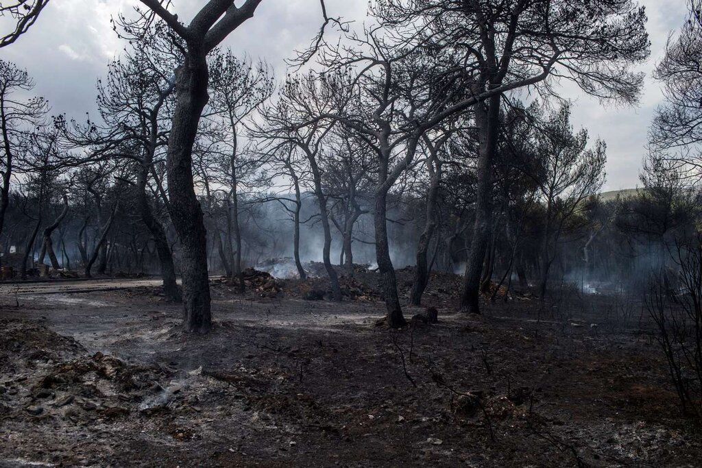 INCÊNDIOS DE 10 A 12 AGOSTO E 3 A 20 SETEMBRO 2024 RECONHECIDOS COMO CATÁSTROFE NATURAL