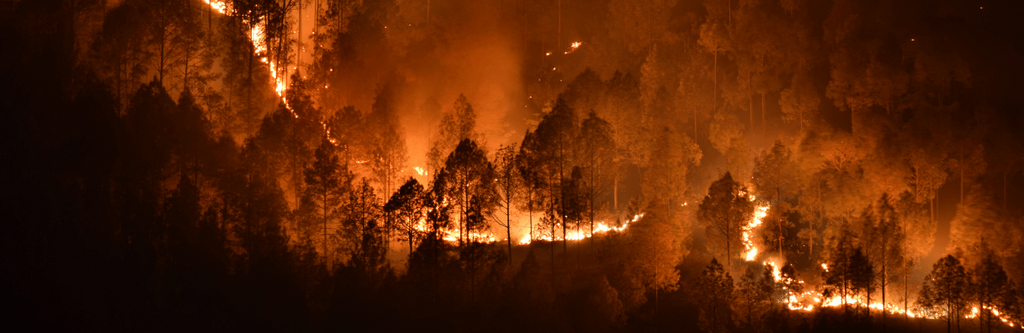 Incêndios Rurais de Setembro de 2024