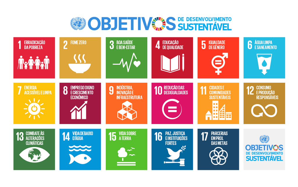 Relatório INE - ODS