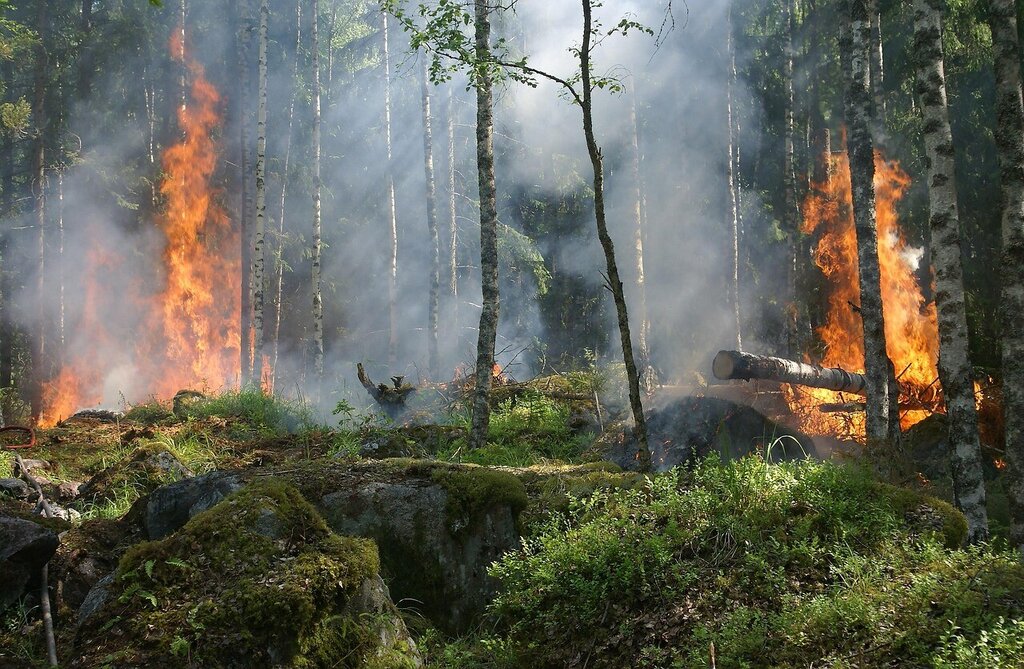 Incêndios Rurais – agosto 2025