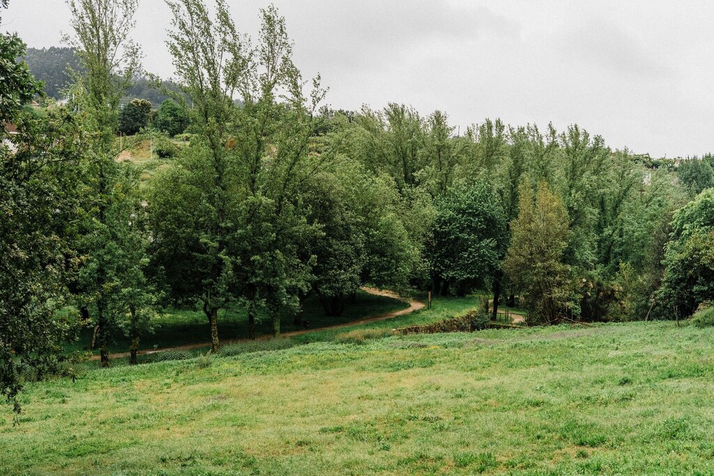 Guimarães transmite a cerimónia de abertura Capital Verde Europeia