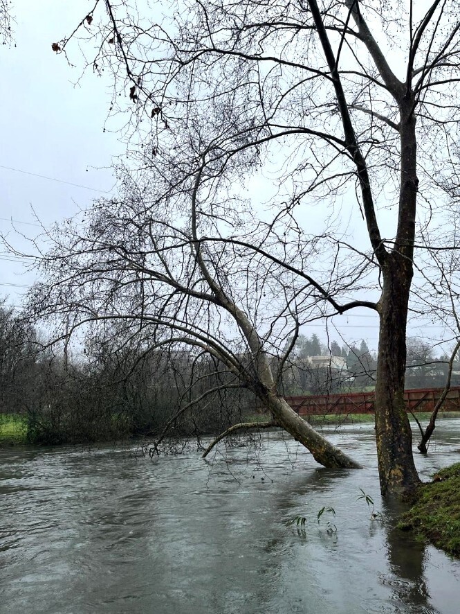 nigaufac00626parque_das_taipasabateassinadopage0004