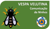 Vespa Velutina